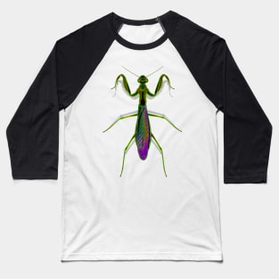 Praying Mantis Baseball T-Shirt